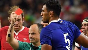 Ntamack's Red Card Shadows France's Impressive Six Nations Opener