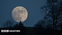 January 2026 full Moon: How and when to see the Wolf supermoon