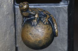 Amfibilerden Sürüngenlere Geçiş