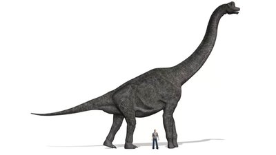 Brachiosaurus Nedir?