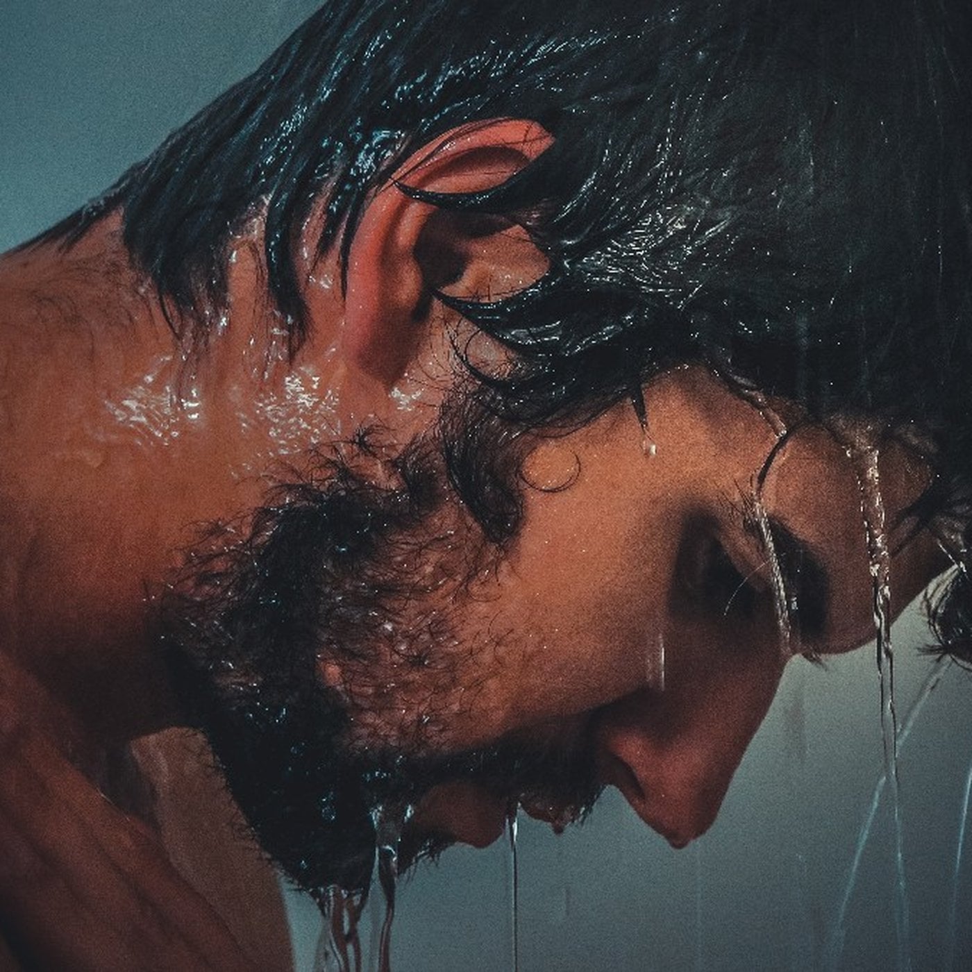 Evrim Ağacı ile Bilime Dair Her Şey!