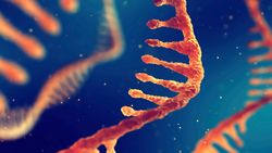 mRNA Nedir? Aşılarda mRNA Nasıl Kullanılır?