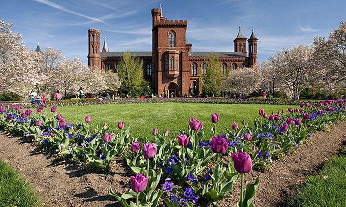 The Smithsonian Institution Fellowship Program (SIFP)