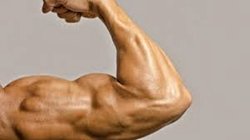 İnsanların kas lifi(telleri) sayısını arttırması mümkün mü? eğer mümkünse bu insana ekstra güç sağlar mı?