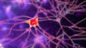 Gene Therapy Slows Huntington’s Disease In Landmark Trial