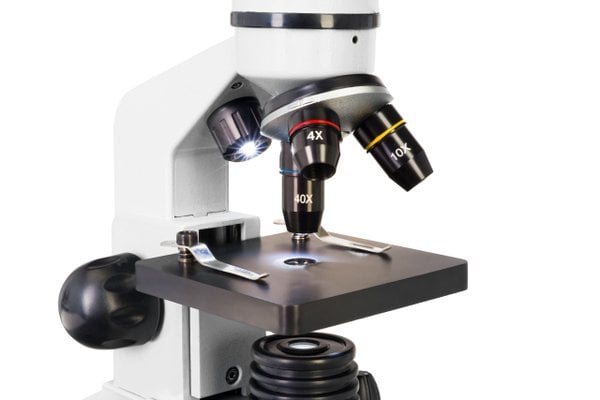 Levenhuk Rainbow D2L 0,3 M Dijital Mikroskop, Moonstone