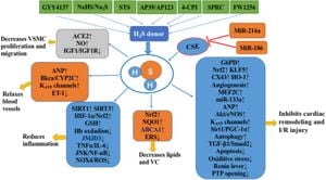 Study Shows Hydrogen Sulfide Could Treat Kawasaki Disease