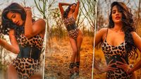 जंगल में आग लगाती Poonam Pandey की बोल्ड अदाएं, फोटो देख फैंस बोले - 'तूफान आ गया' (View Pics) | 🎥 LatestLY हिन्दी