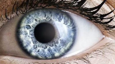 X-Işını Gördüğünü İddia Eden Kız: Natasha Demkina