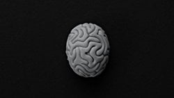 Her nöropatologun bilmesi gerekenler: klinik demans sendromları için yoğunlaştırılmış protokol incelemesi