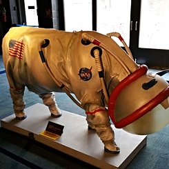  Suiting Up for the Moon 