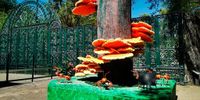 SPORA Festival del Bosque 2025: El reino fungi invadirá Chapultepec