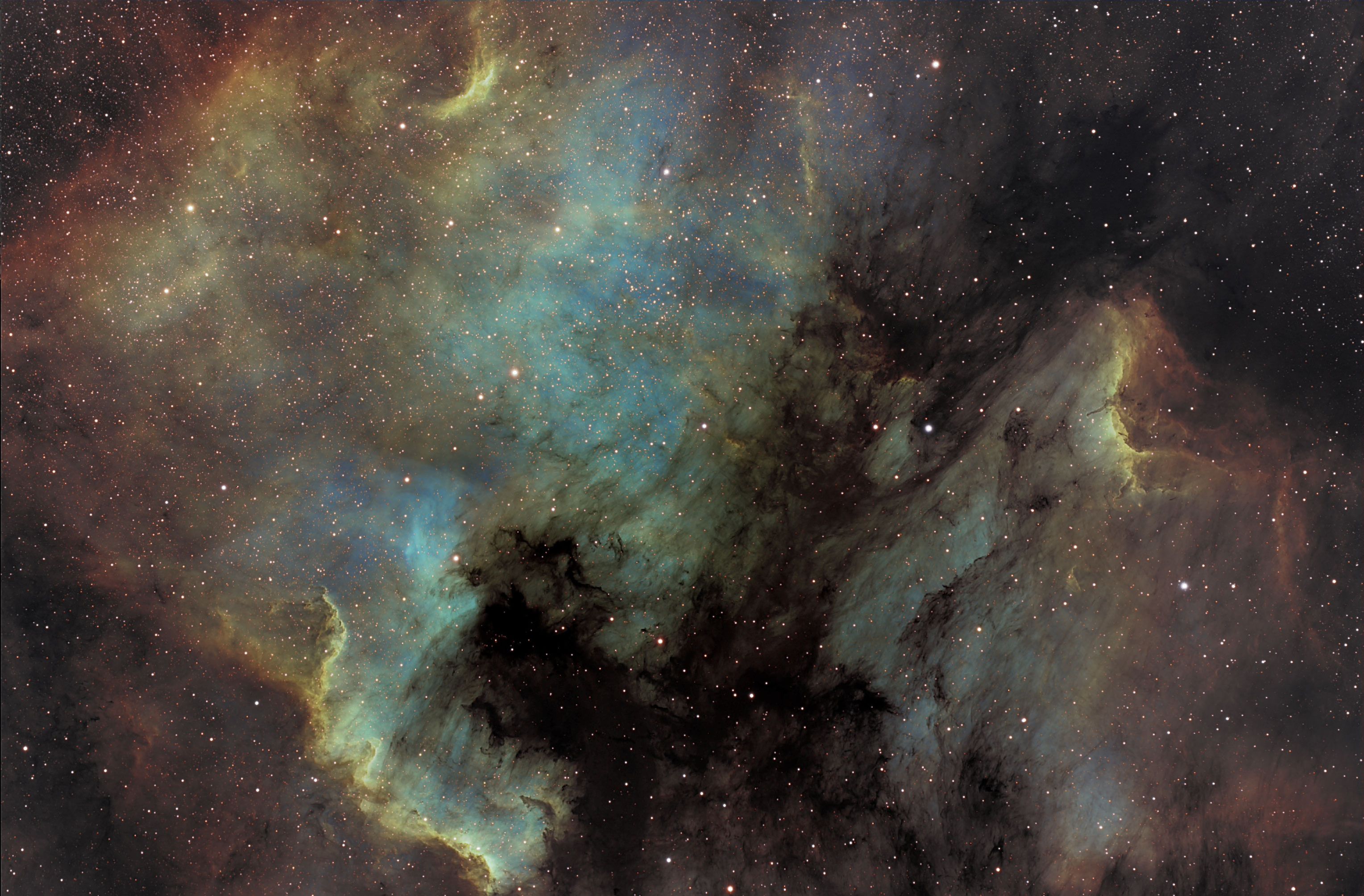 The North America and Pelican Nebulas