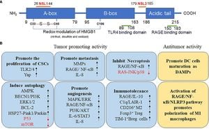 Box A Of HMGB1 Induces DNA Breaks To Fight Lung Cancer