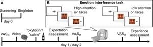 Cognitive Resources Enhance Placebo Effects On Mood And Emotion