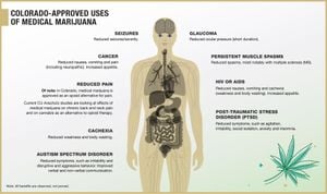 Cannabis Comes Under Fire Over Health Risks And Cancer Links