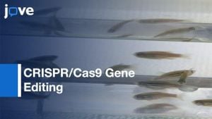 Enhanced CRISPR-Cas Technology Streamlines RNA Targeting