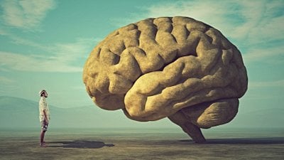 Evrimsel Psikoloji: İnsan Davranışlarının Evrimsel Kökeni Hakkında Ne Biliyoruz?