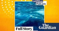 The language of whale song - podcast