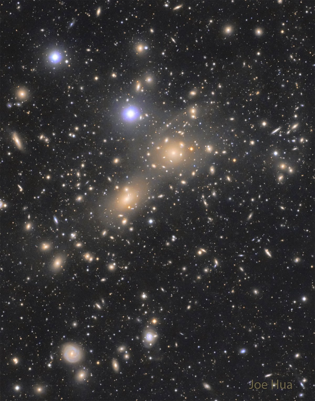  The Coma Cluster of Galaxies 