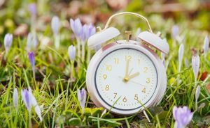 Canadians Brace For Daylight Saving Time Shift Amid Growing Concerns