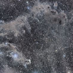 The Chameleon's Dark Nebulae