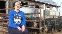 Iowa farmers reeling from $11 million USDA program ax