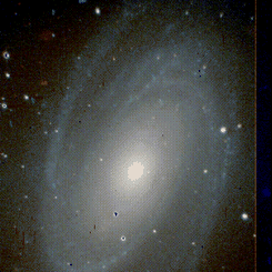 M81 Gerçek Renkleriyle