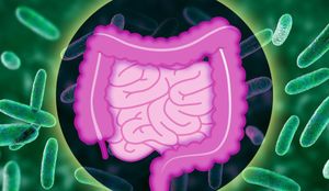 Exploring Gut Microbiome: Key Insights From New Studies