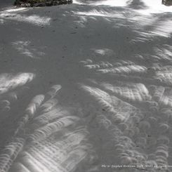 Eclipses in the Shade