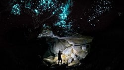 Waitomo Mağaraları: Biyolüminesan Sivrisinek Larvalarının Şölene Çevirdiği Bir Doğa Harikası!
