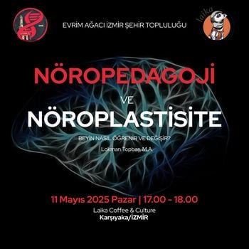 Nöropedagoji ve Nöroplastisite