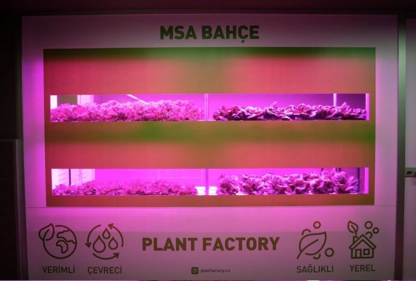 Plant Factory tesisi.