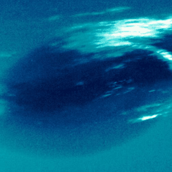 Neptune's Great Dark Spot: Gone But Not Forgotten