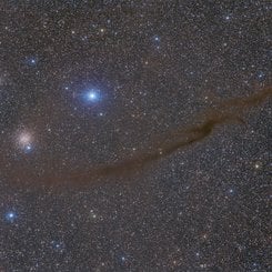 The Dark Doodad Nebula
