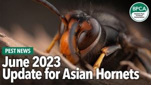 Communities Unite Against Asian Hornet Threat