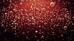 Gazlı İçeceklere ve Etkilerine Bilimsel Bir Bakış...