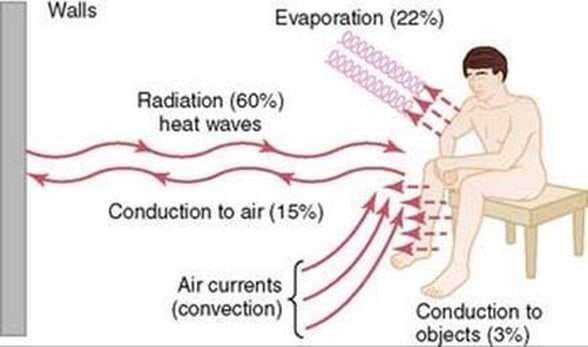 İnsanın vücut sıcaklığını kaybetme yolları