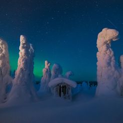  Sentinels of a Northern Sky 