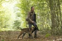 Épisode inédit de la série Le voyageur ce 10 mai sur France 3 : scénario et interprètes de La femme oubliée. - LeBlogTVNews