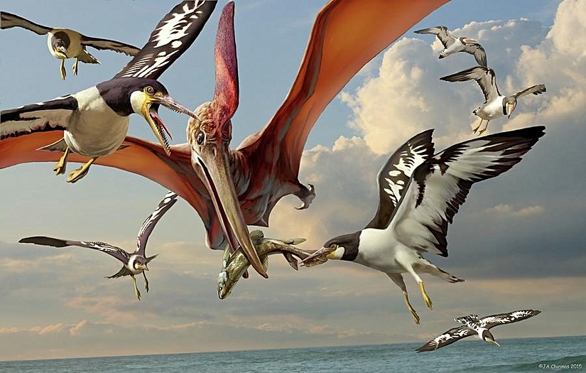 Meşhur uçan sürüngen cinsi olan Pteranodon ile dönemin dişli kuşlarından olan Ichthyornis'in anlaşmazlığı.