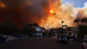 Congress Examines California Wildfire Overregulation