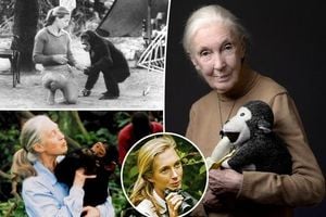 Jane Goodall Dies At 91 After Transforming Science