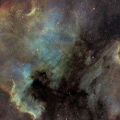 The North America and Pelican Nebulas