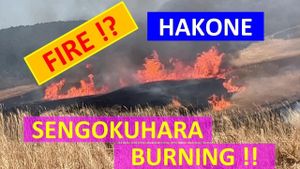 Evacuation Orders Issued As Wildfires Rage Near Hakone