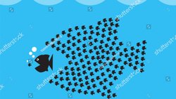 Küçük Balık Olmanın Stratejik Avantajı: Bırakın Büyük Balıklar Birbirini Yesin!