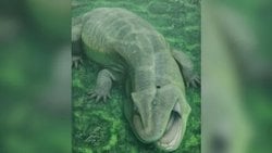 275 Milyon Yıllık “Yaşayan Fosil” Keşfi: Yanlara Uzanan Dişleriyle Tanyka Amnicola Bilim Dünyasını Şaşırttı