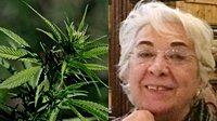 Woman sued to stop neighbour from smoking weed in his own home - and won