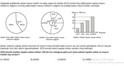 Verilen bilgilere göre yurt içine satılan toplam meyve ve sebze miktarı kaç tondur?