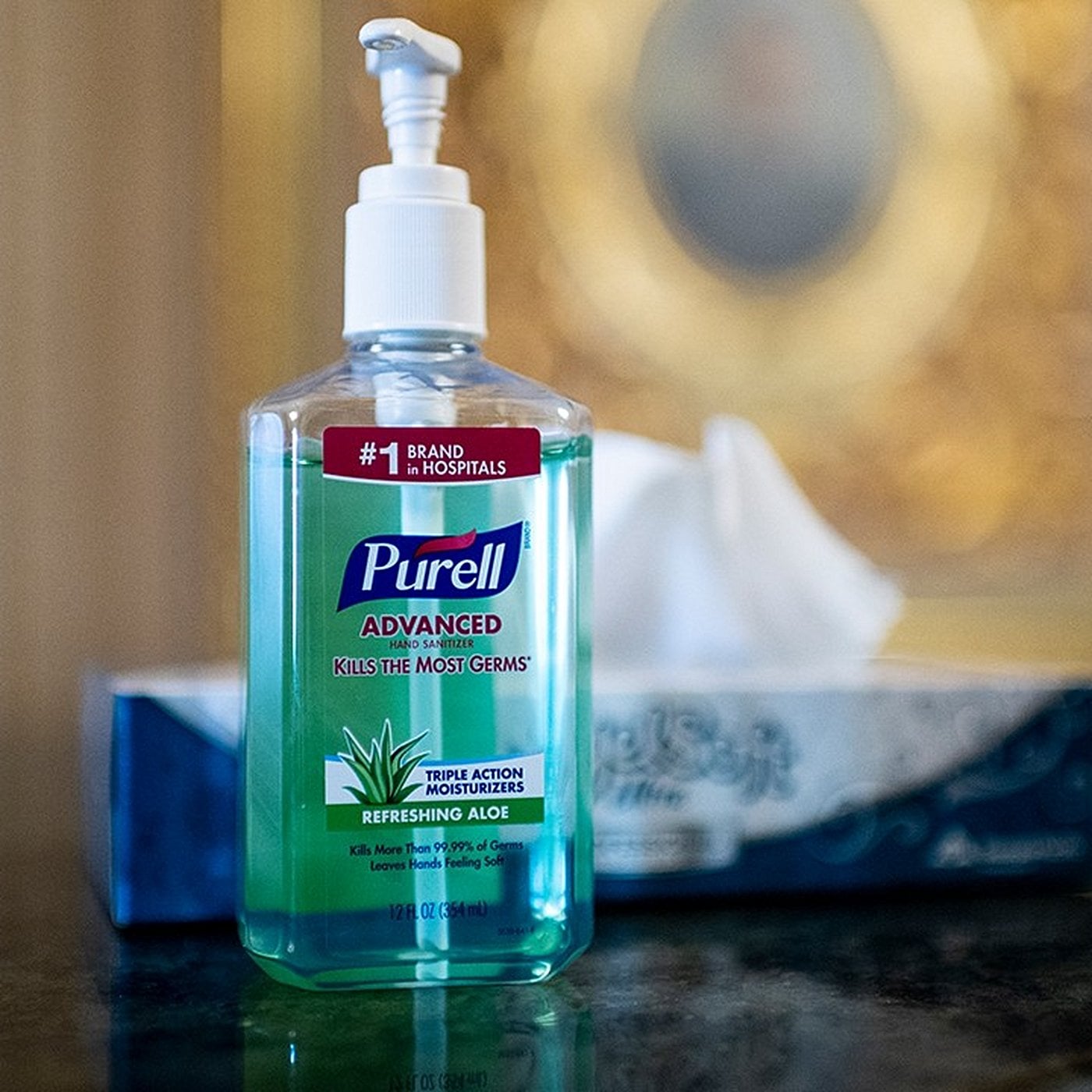 Evrim Ağacı ile Bilime Dair Her Şey!